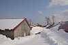 14_thumb.jpg