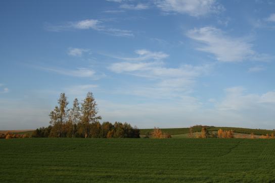 20.jpg