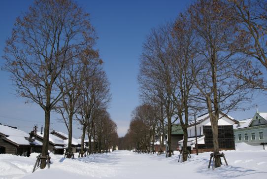 19.jpg