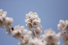 IMG_8_thumb.jpg