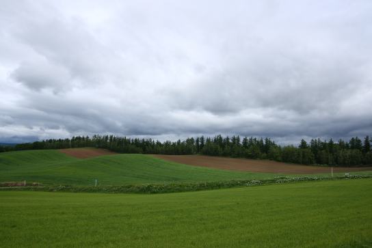 IMG_1.jpg