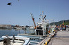 IMG_0089_thumb.jpg