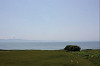 IMG_0113_thumb.jpg