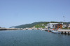IMG_4_thumb.jpg