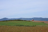 IMG_0064_thumb.jpg