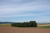 IMG_0084a_thumb.jpg