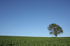 IMG_1694_thumb.jpg