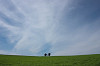 IMG_1765_thumb.jpg