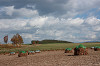 resize0149_thumb.jpg