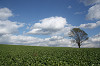 resize0150_thumb.jpg