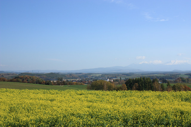 resize0151.jpg