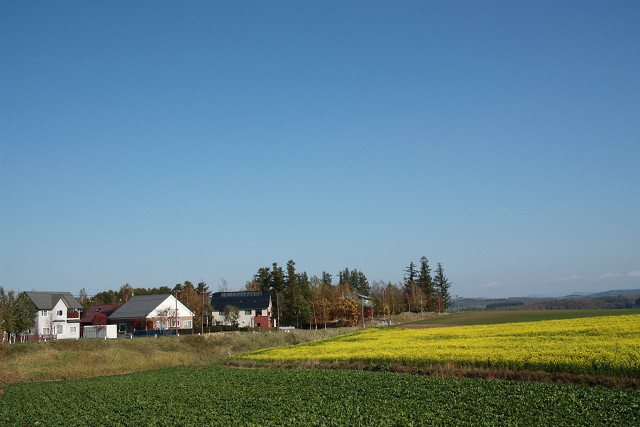 resize0153.jpg