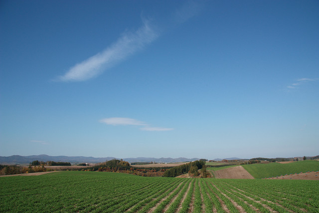 resize0154.jpg