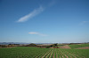 resize0154_thumb.jpg