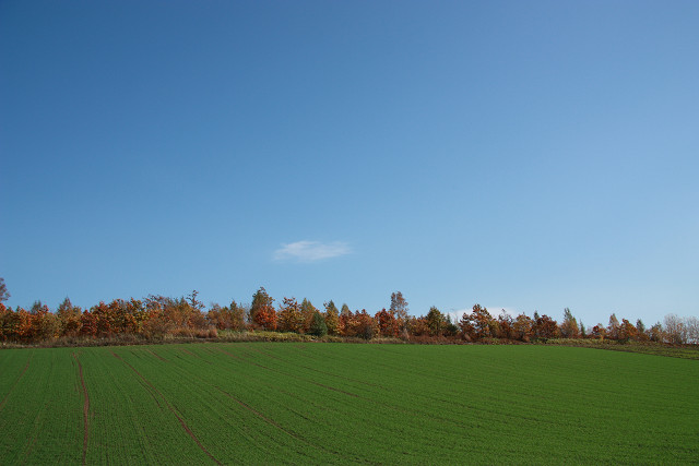 resize0156.jpg