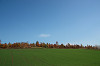 resize0156_thumb.jpg