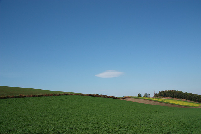 resize0157.jpg