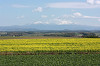 resize0158_thumb.jpg