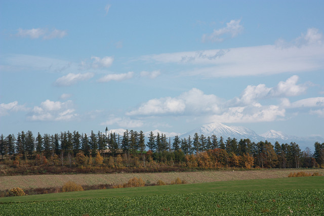 resize0159.jpg
