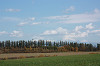 resize0159_thumb.jpg