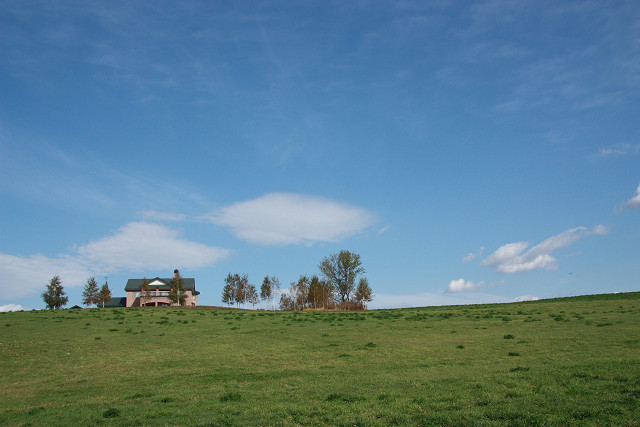 resize0161.jpg