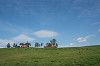 resize0161_thumb.jpg
