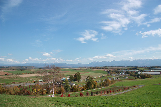 resize0162.jpg