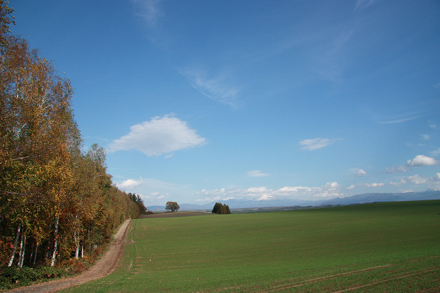 resize0163.jpg