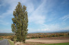 resize0164_thumb.jpg