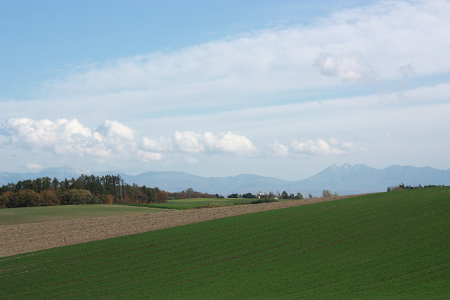 resize0167.jpg