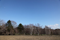 img_2486_thumb.png
