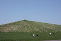 img_4253_thumb.png