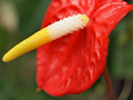 9_thumb.png