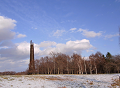 r0010732_thumb.png