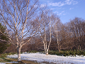 r0010769_thumb.png