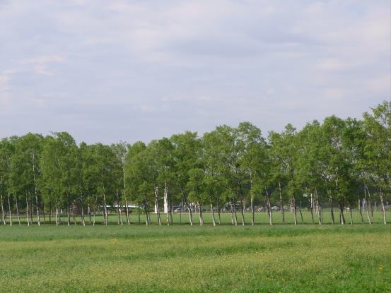 R0010327.jpg