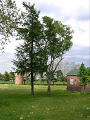 R0010334_thumb.png