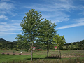 P9120640_thumb.png