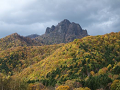 PA171138_thumb.png