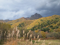 PA171172_thumb.png