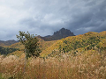 PA171184_thumb.png