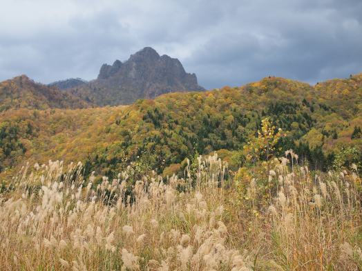 PA171189.jpg