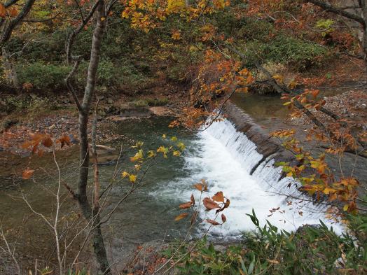 PA171195.jpg