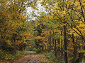 PA171201_thumb.png