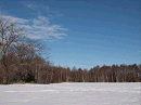 p1021957_thumb.gif