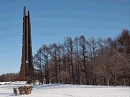 p1021991_thumb.gif