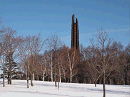 p1022012_thumb.gif