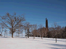 p1022013_thumb.gif