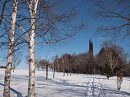 p1022022_thumb.gif