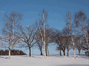 p1022032_thumb.gif
